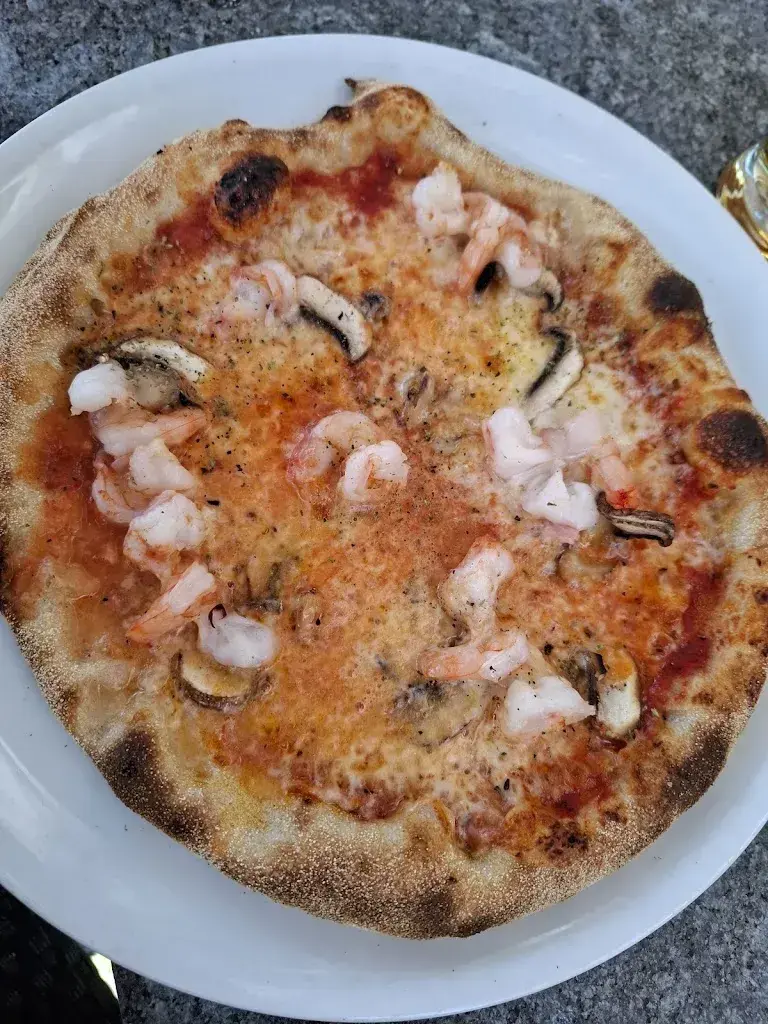 Fer_Gotthard_Flüelen_review