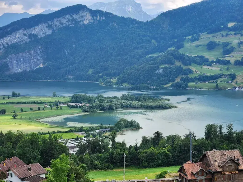 Othmar Meier_Hirschen Steinerberg Familie Windlin_Steinerberg_avis