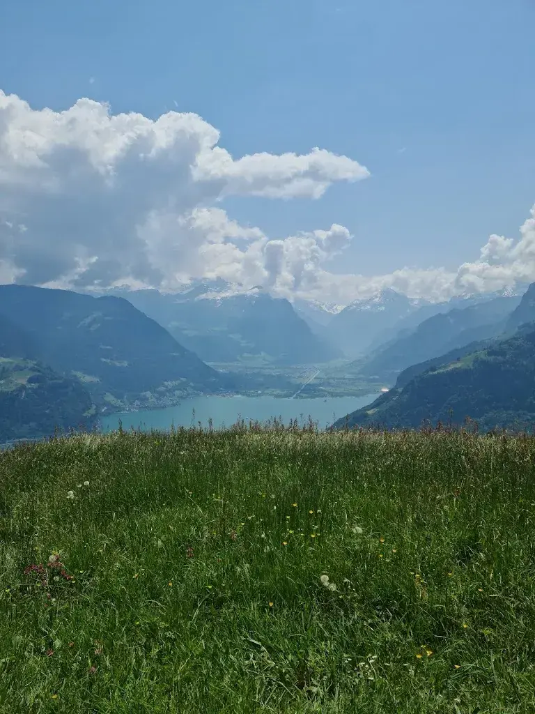 andy mueller_Alp Weid Beizli_Seelisberg_reseña