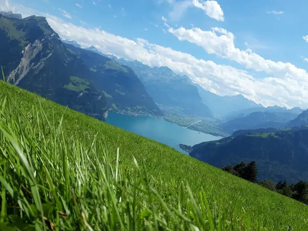 Sandra Gisler-Lussmann_Alp Weid Beizli_Seelisberg_reseña