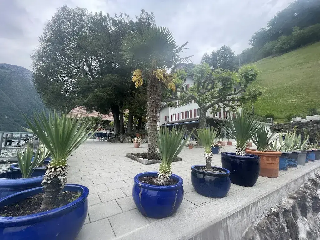 Viona Lee_Seerestaurant und Fischerei Schwybogen_Seelisberg_recensione