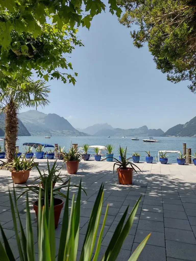 Suncatcher_Seerestaurant und Fischerei Schwybogen_Seelisberg_recensione