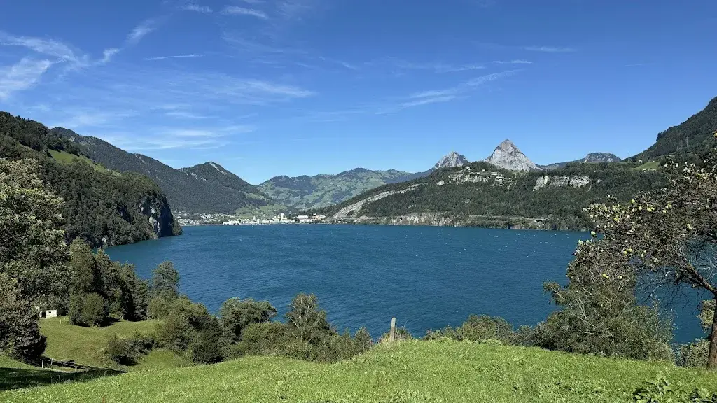 Thimo Eckel_Restaurant Rütlihaus_Seelisberg_review