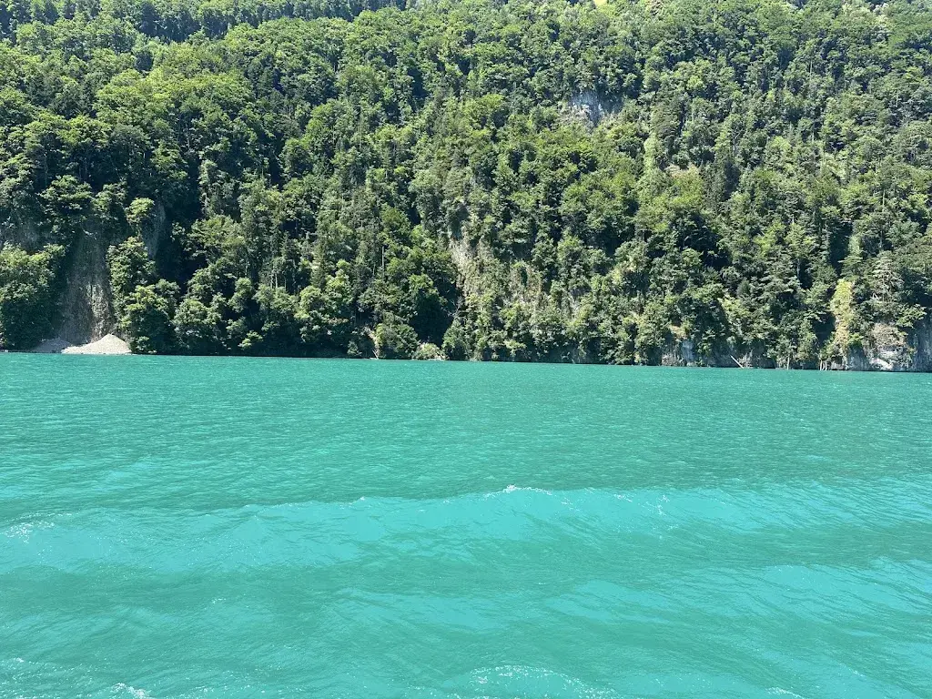 Claudio Cafarelli_Rütli_Seelisberg_avis