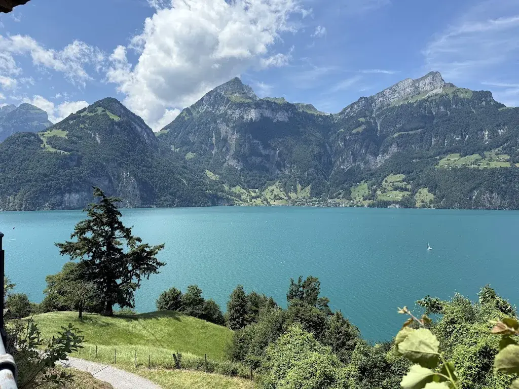 Adrian-Bogdan Leancă_Restaurant Tellsplatte_Sisikon_recensione