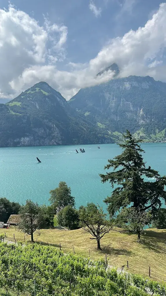 Juan F_Restaurant Tellsplatte_Sisikon_recensione