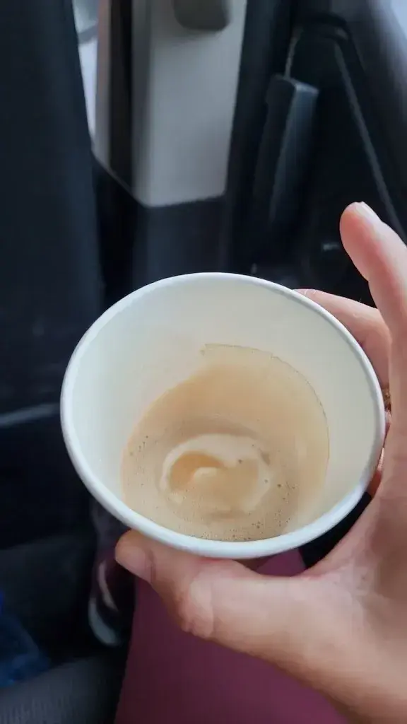 Re Falcon_Gina's Cafe_Wassen_avis