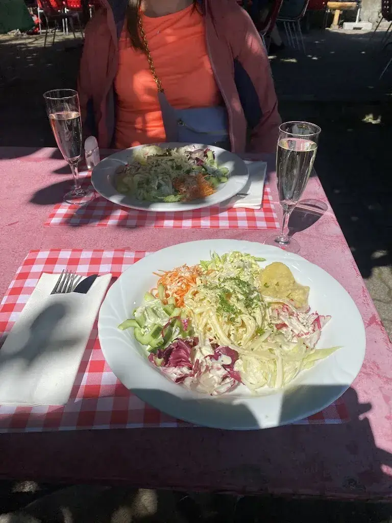 dana verdene_Restaurant Alpenblick_Meilen_avis