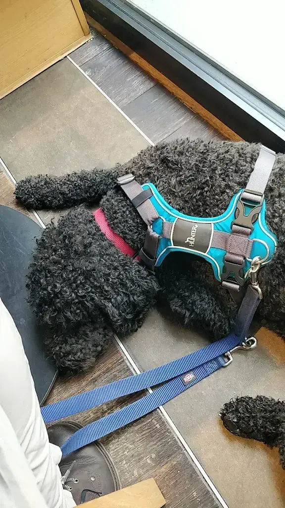 M. P._Restaurant St. Georg_Einsiedeln_review