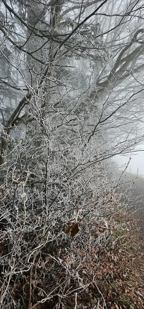 Aghosh CH_Bergrestaurant Etzel Kulm_Feusisberg_avis