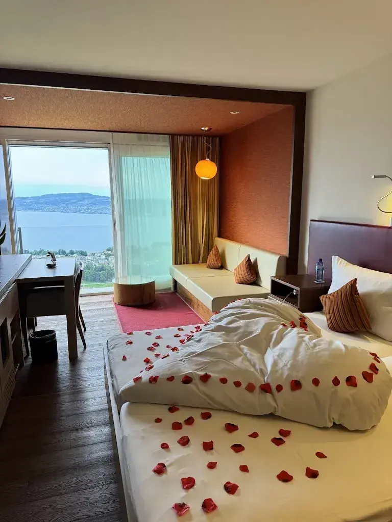 Amel Ribanovic_Panorama Resort & Spa_Feusisberg_avis