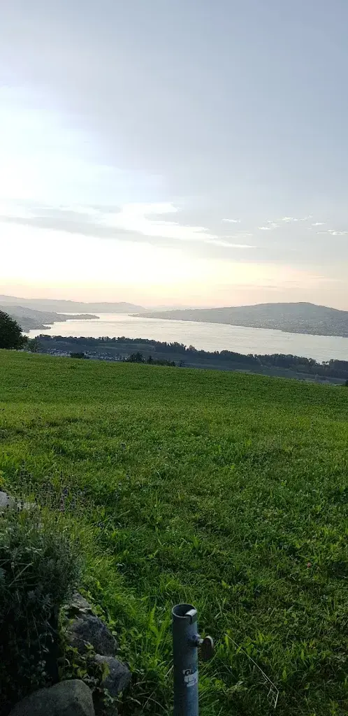 Luwela Celikok_Landgasthof Ried_Feusisberg_review