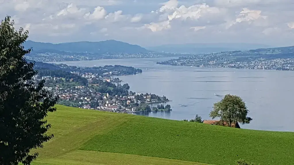 Paul Tuxford_Restaurant Feld_Feusisberg_avis