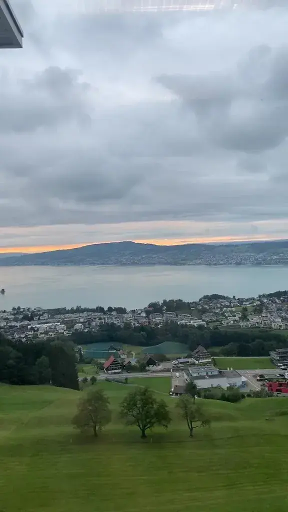 Yi Yao_Loy Fah_Feusisberg_review