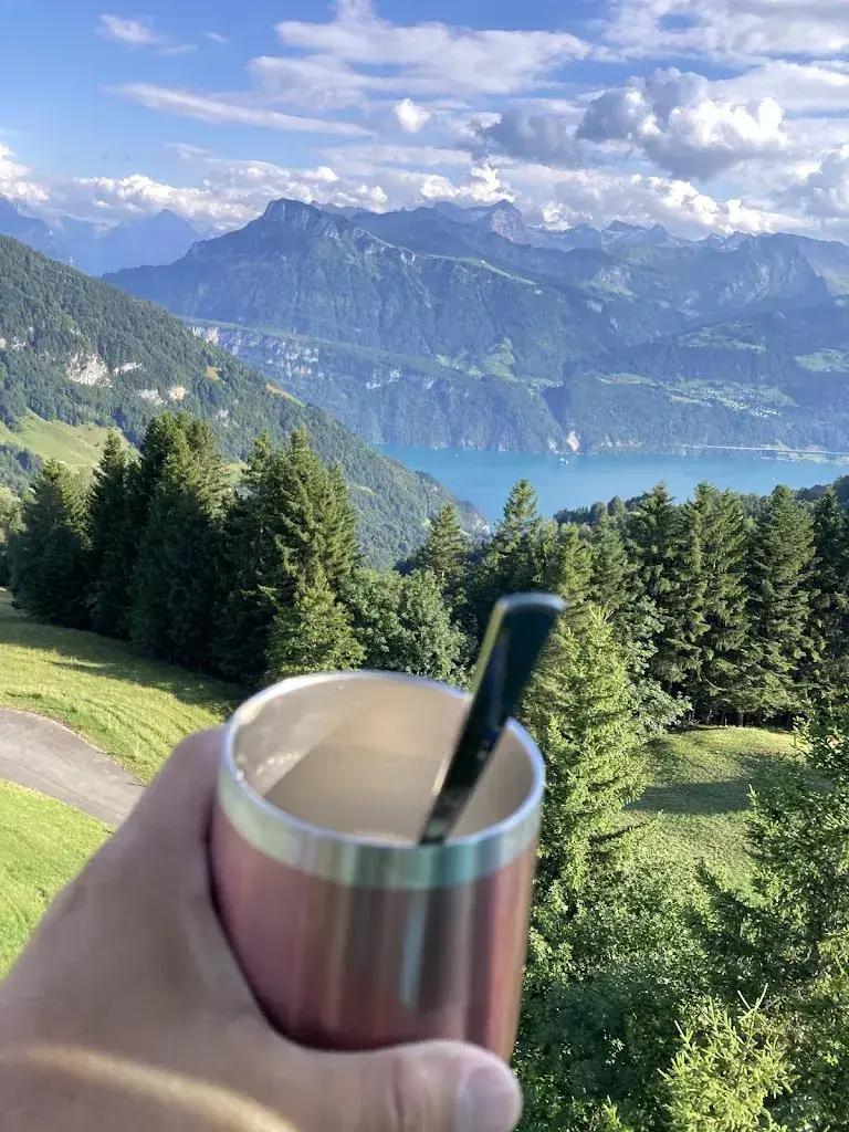 Musab Abulkhair_Rigi-Burggeist_Gersau_review