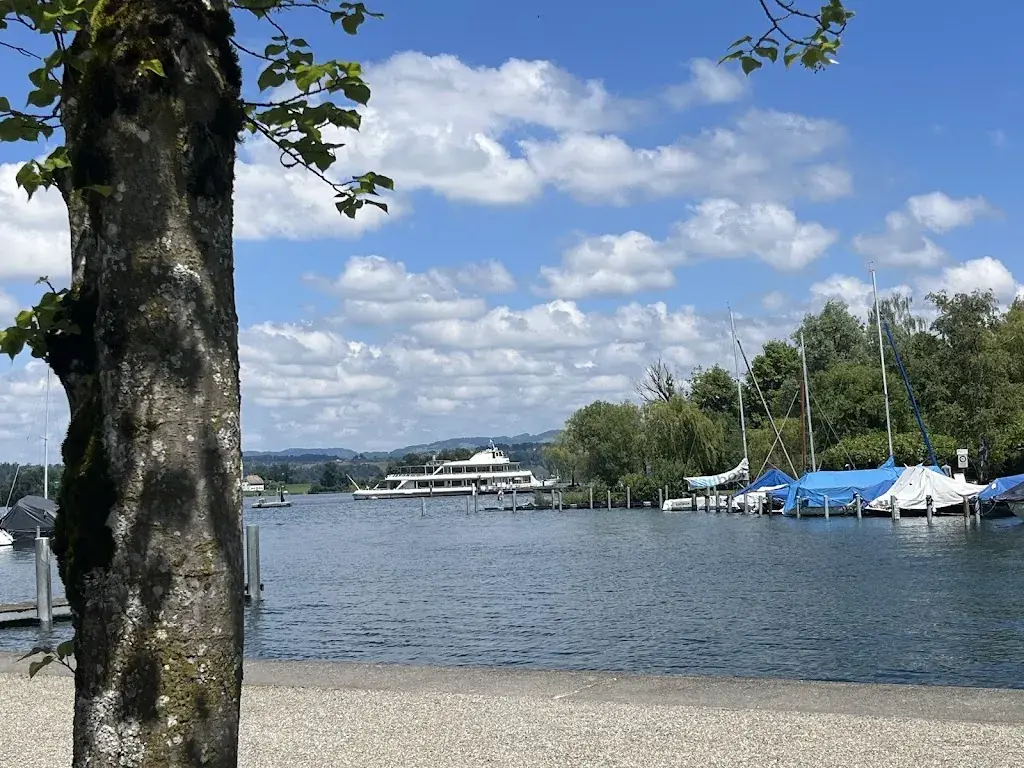 Andy Newbold_Hotel•Restaurant•Bar Schiff_Freienbach_review