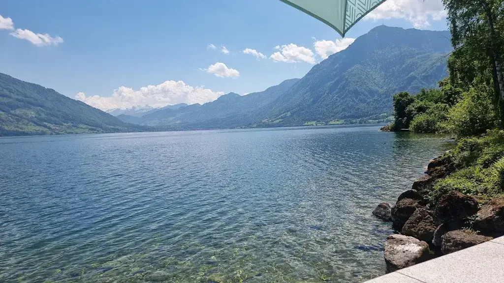 Afzal Ballim_Restaurant Baumgärtli_Immensee_Bewertung