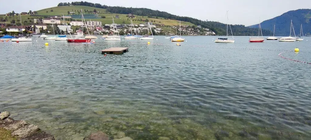 Daniel Ivan_Badi Bistro Immensee_Immensee_review