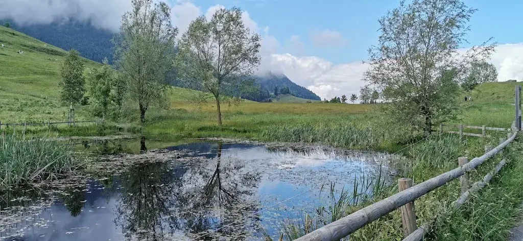 Daniel Wicki_Panorama Restaurant Küssnacht_Küssnacht_Bewertung