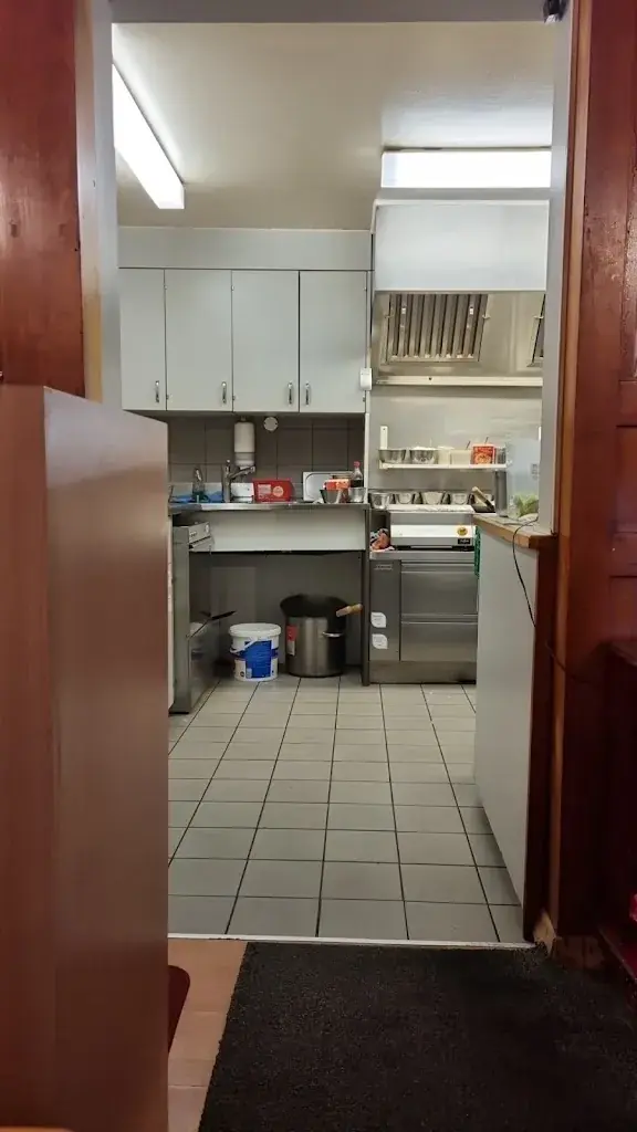 Dijana Petranović_Asia Take Away Posthorn_Küssnacht_review