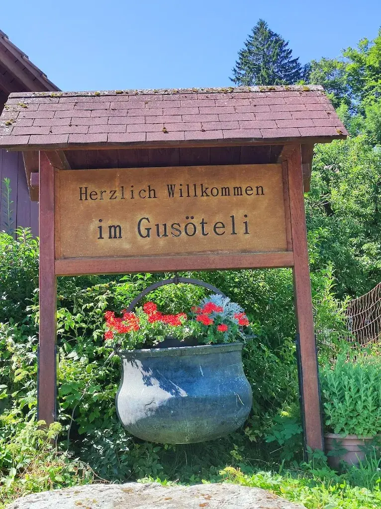 Gabriela Knobel_Gusöteli_Siebnen_avis