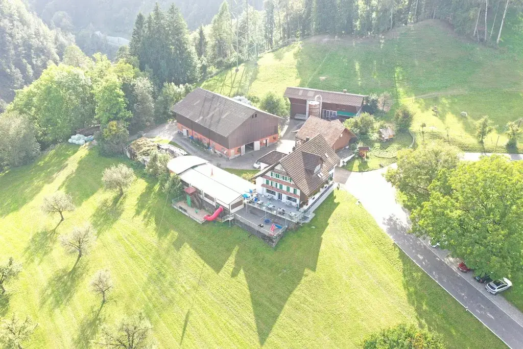 Benny B_Gusöteli_Siebnen_avis