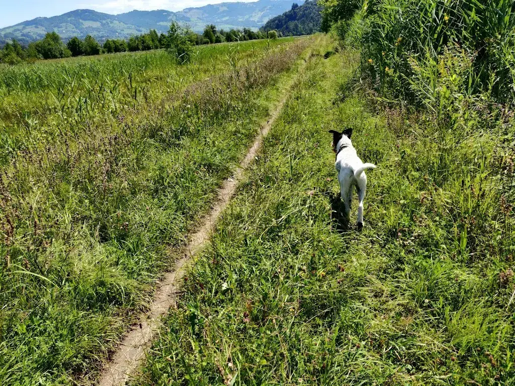 Regina Hoffmann_Landgasthof Schloss Grynau_Tuggen_review