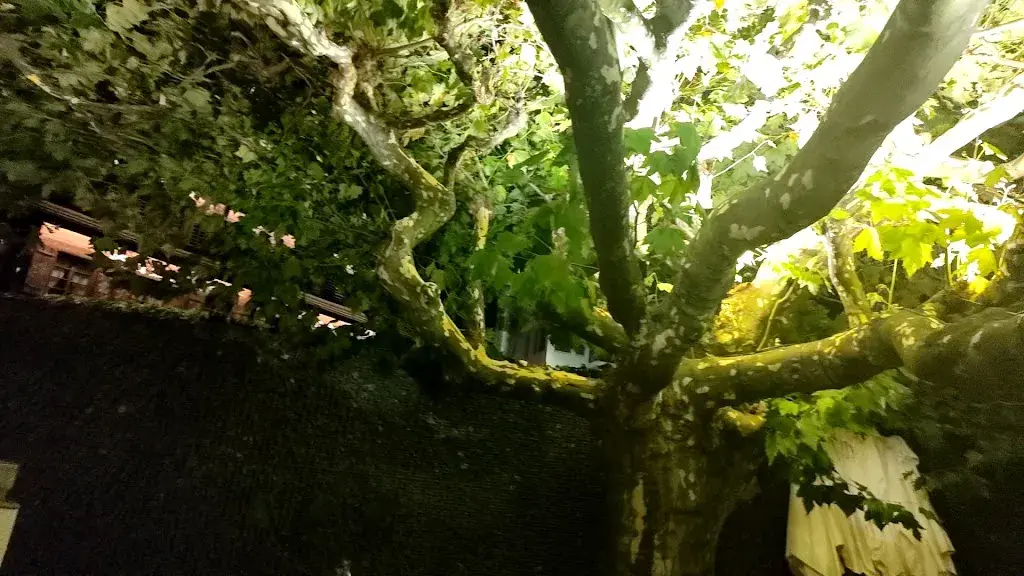 K Medan Jaya_Sternen Walchwil_Walchwil_review