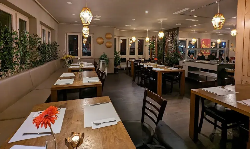 Purenaturepics_Zen Zen Asia_Uznach_recensione