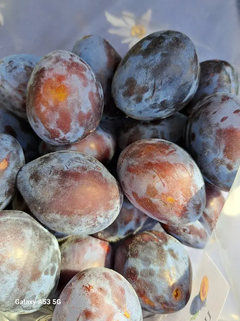 Menu_Brunni- Grill GmbH_Alpthal_immagine_2