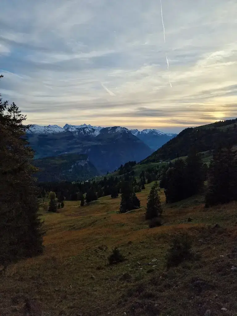 Sefer Kilic _Alp Zwäcken_Oberiberg_review