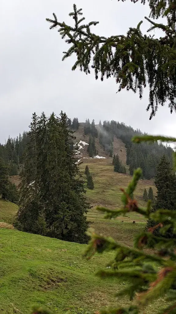 Remo G_Furggelen_Alpthal_review