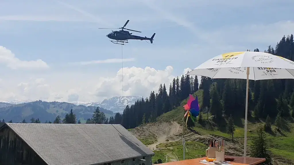 P. Hofmann_Furggelen_Alpthal_review