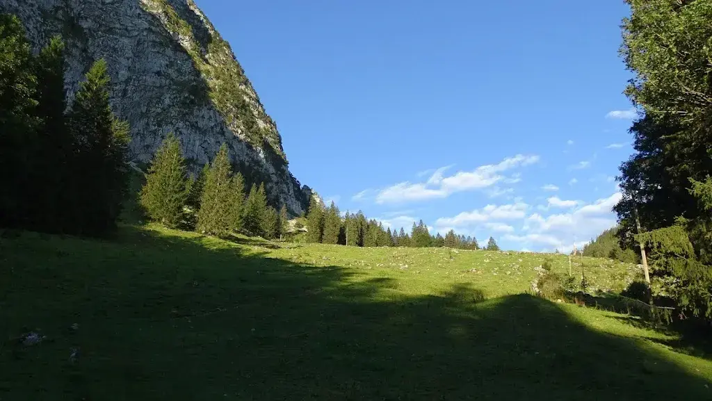 Uwe Häntsch_Alp Zwüschet-Mythen_Schwyz_avis