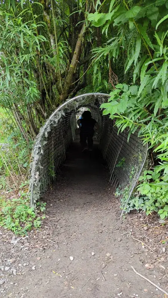 Kyle_Grüne Gans_Goldau_reseña