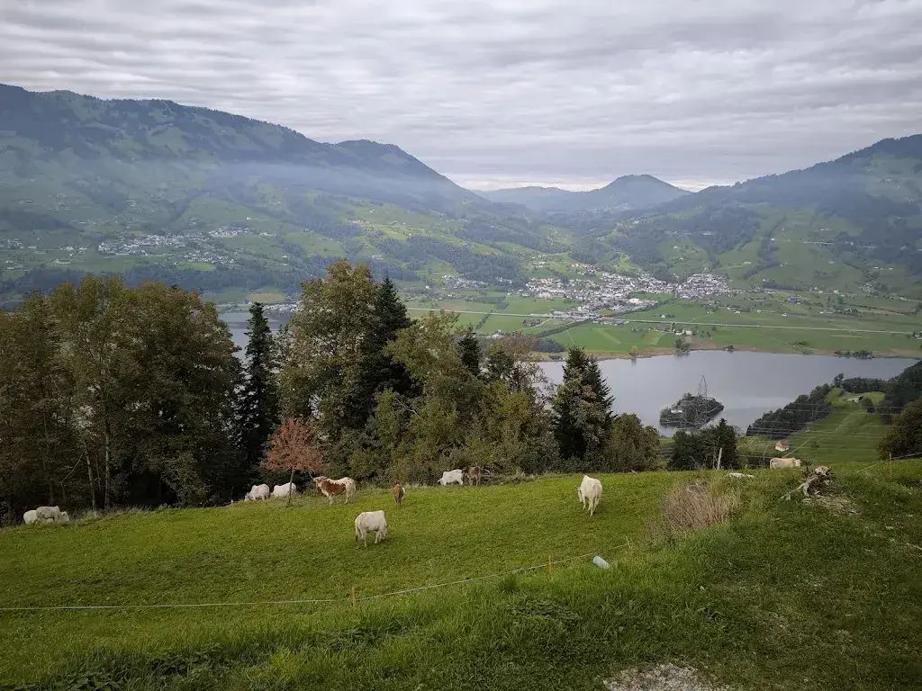 Sonja Wagner_Zebuhof_Lauerz_review