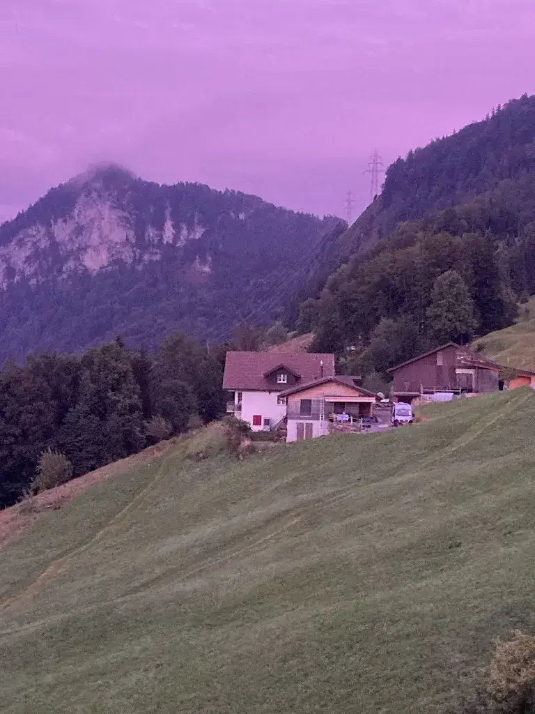 I Z_Zebuhof_Lauerz_review