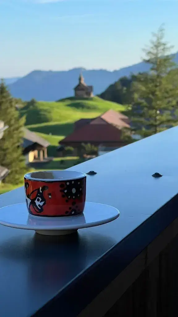 Igor Zavyalov_Caschu Alp - Boutique Design Hotel | Gourmet Restaurant_Stoos_avis