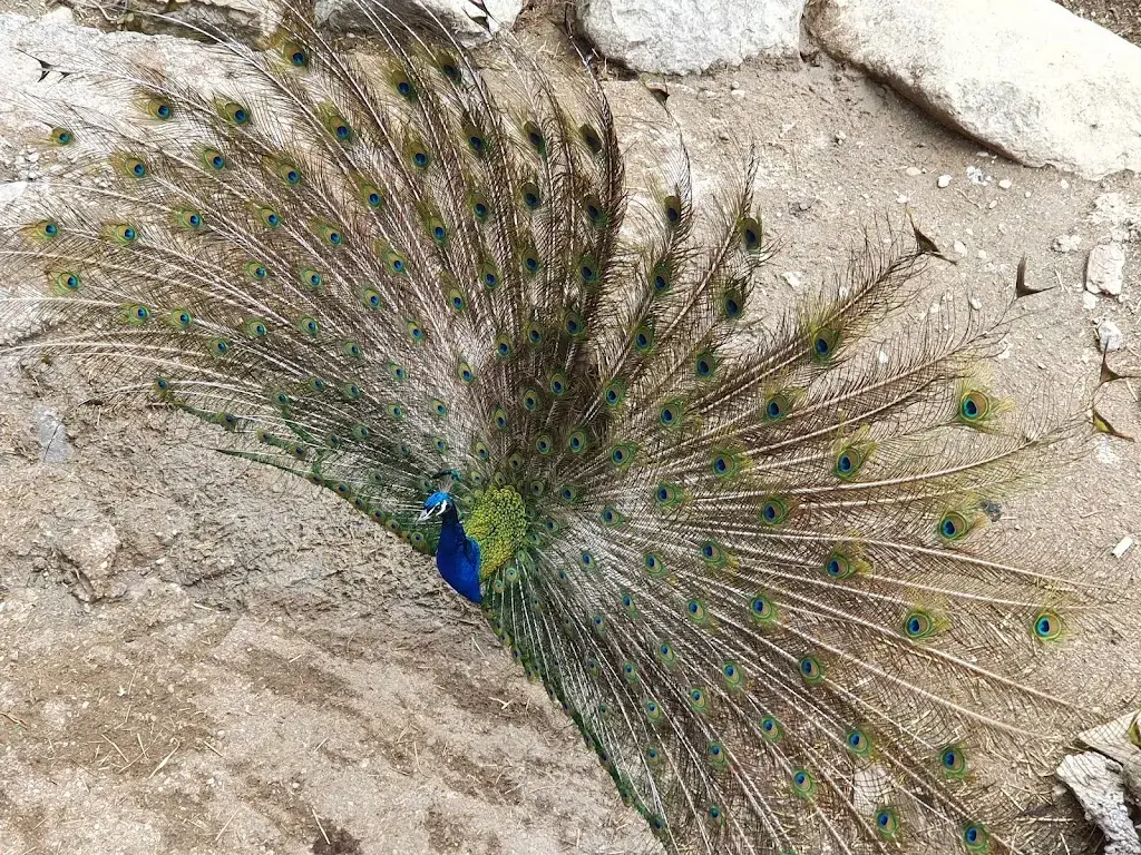 Phil “Philovino” Eicher_Berghaus Höchgütsch_Unteriberg_Bewertung