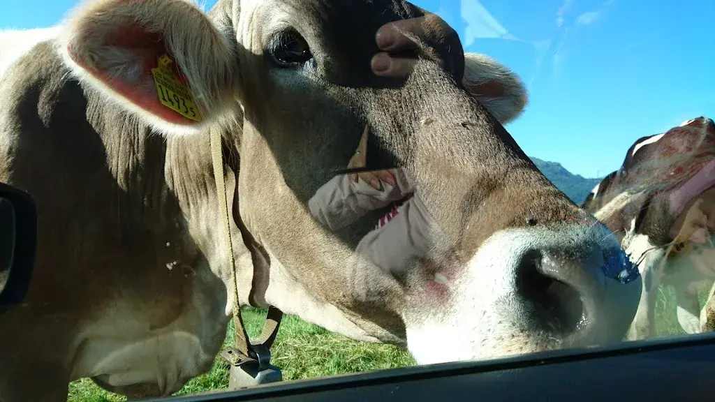 jt privat_Berghaus Höchgütsch_Unteriberg_Bewertung