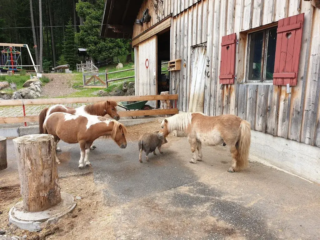 Brenda Betschart_Berghaus Höchgütsch_Unteriberg_Bewertung