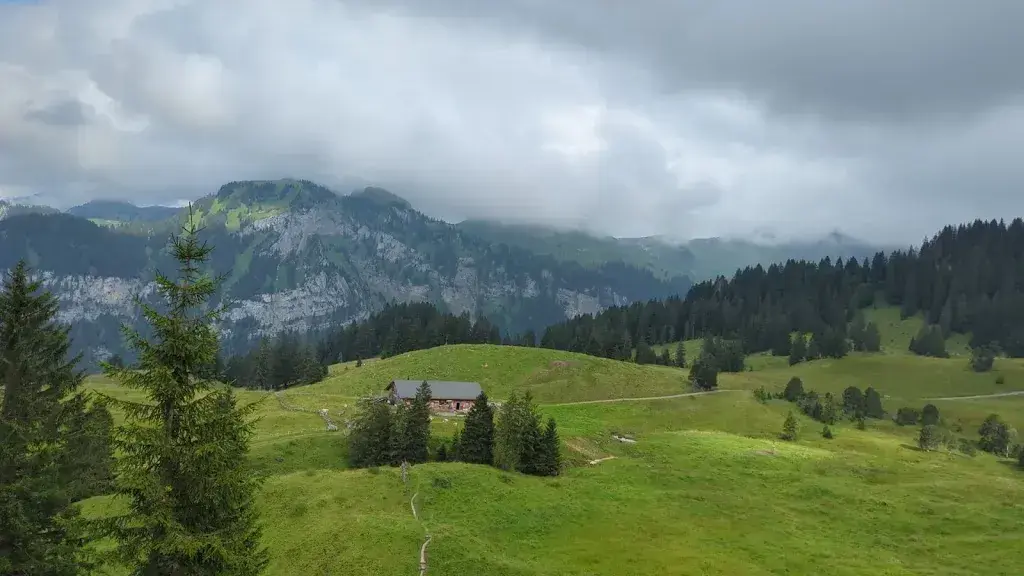 David Zerbe_Bergbeiz Adlerhorst Oberiberg_Oberiberg_avis