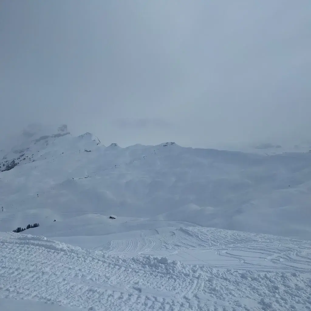 katka hruzova_Restaurant Stäfel_Oberiberg_avis