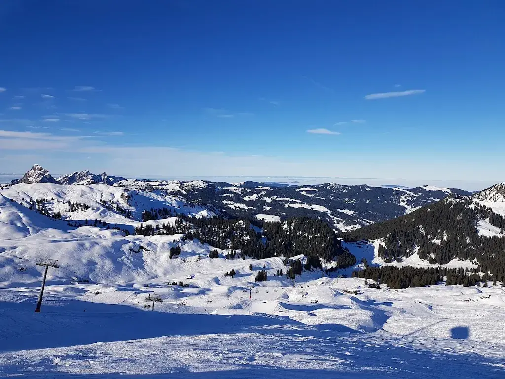 Danny Wemmenhove_Restaurant Stäfel_Oberiberg_avis
