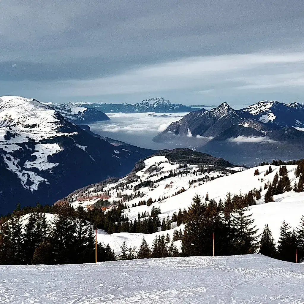 Teri Daly_Steigadä_Schwyz_review