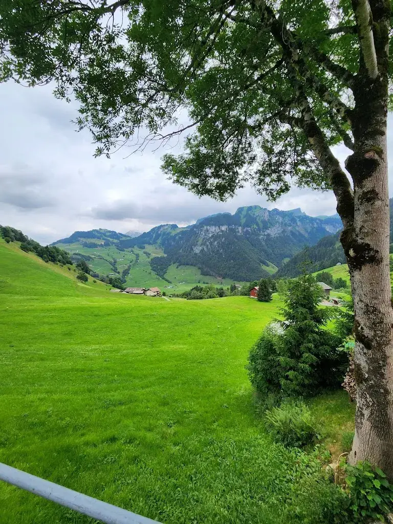 Dimitry N_Gasthaus Hirschen_Oberiberg_review