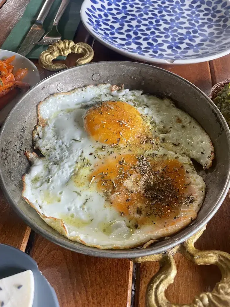 Jessica Bello Salguero_Falafingo 3.0_Bern_avis