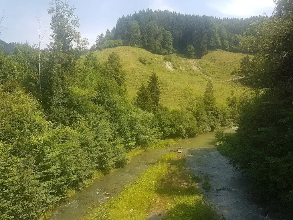 Albert Voegeli_Steinstoss-Stübli_Rothenthurm_avis