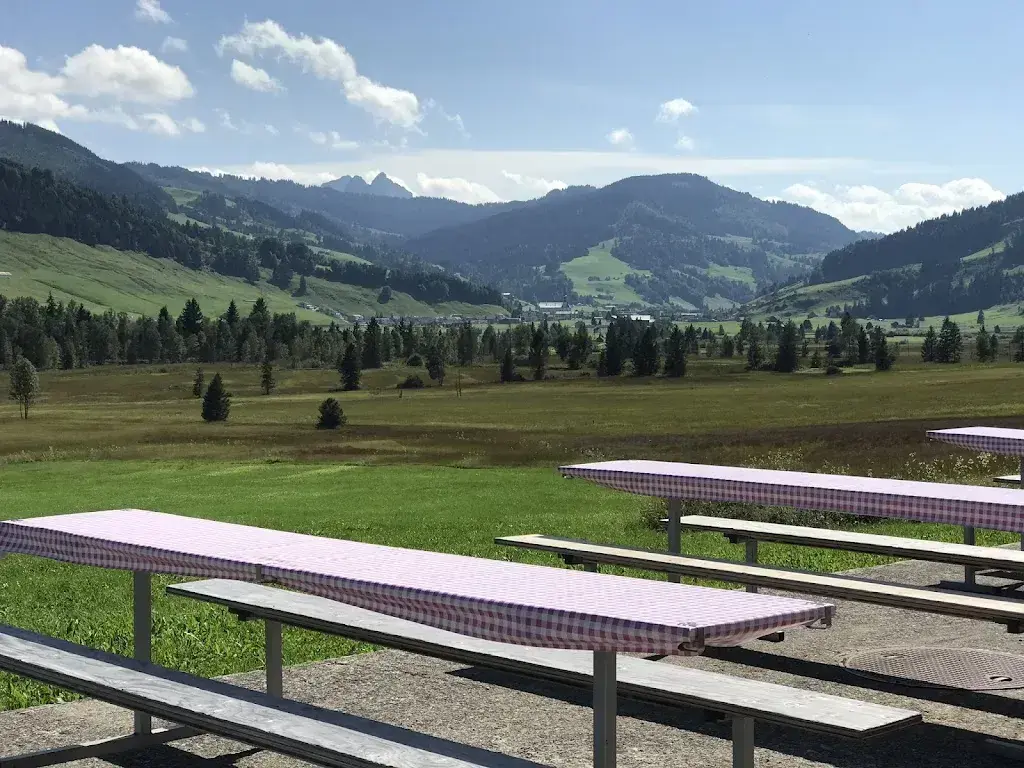 Tino ZH_Steinstoss-Stübli_Rothenthurm_avis