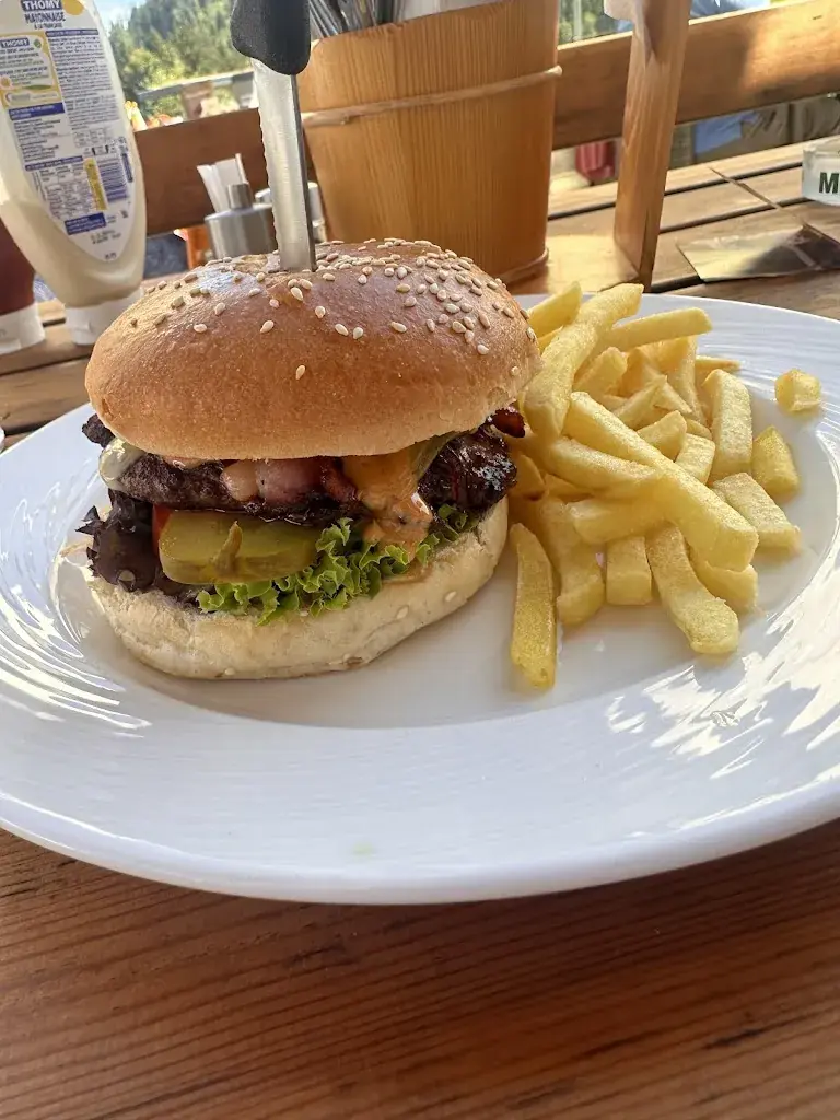 Remus Necsulescu_Mostler's Q-HOF_Sattel_recensione